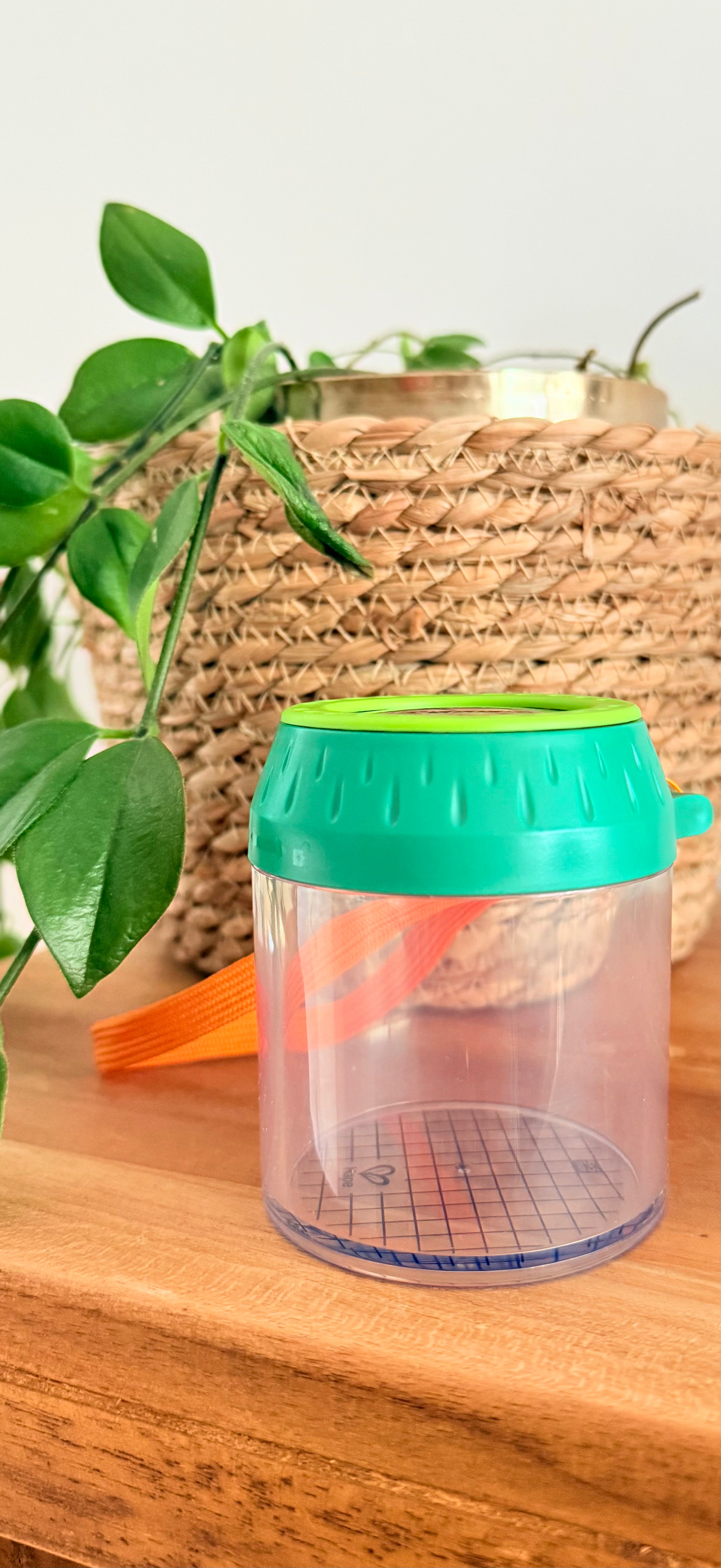 Insectenpot met loep - ontdek de natuur van dichtbij