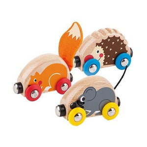 Bosdierentrein - BAS & BLIKSEM